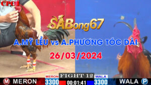 anh my leu vs anh phuong