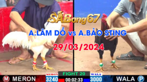 A LAM DO VS A BAO STING