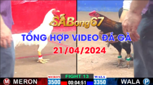 VIDEO NGAY 21/04/2024