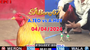 A.TEO VS A.HUY