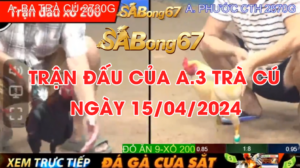 BA TRA CU 15.04