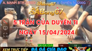 DUYEN TI 15.04