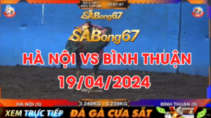 HN VS BINH THUAN