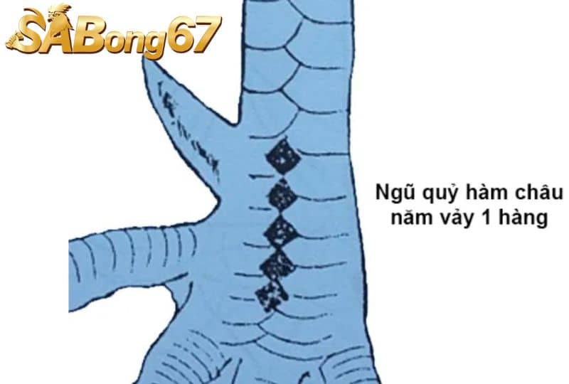 Vảy gà ngũ quỷ là loại vảy vô cùng đặc biệt và quý hiếm