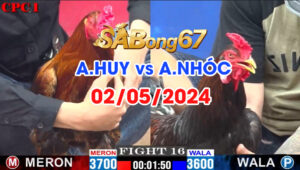 anh huy vs anh nhoc