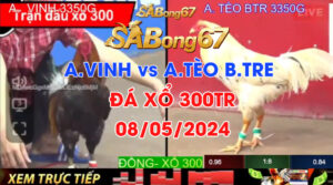 ANH VINH VS ANH TEO BTRE