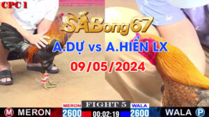 A.DU VS A.HIEN LX