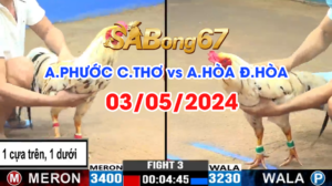 PHUOC CT VS HOA DH