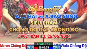 A LU HAI VS A BAO STING CHONG DO