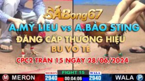 A MY LIEU VS A BAO STING 28.06.2024