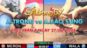 A TRỌNG VS A BẢO STING