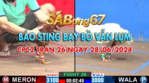 ANH HAI VS BAO STING 28.06