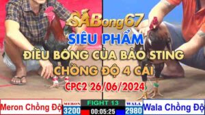 BAO-STING-CHONG-DO-4-CAI-26.06.2024