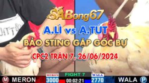 a li vs a tut bao sting