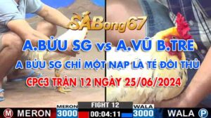 anh-buu-vs-anh-vu-25-06-2024-min