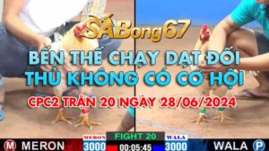 anh hai vs anh bao 28.06.2024