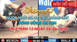 anh vinh vs anh be 3 dau xo 200