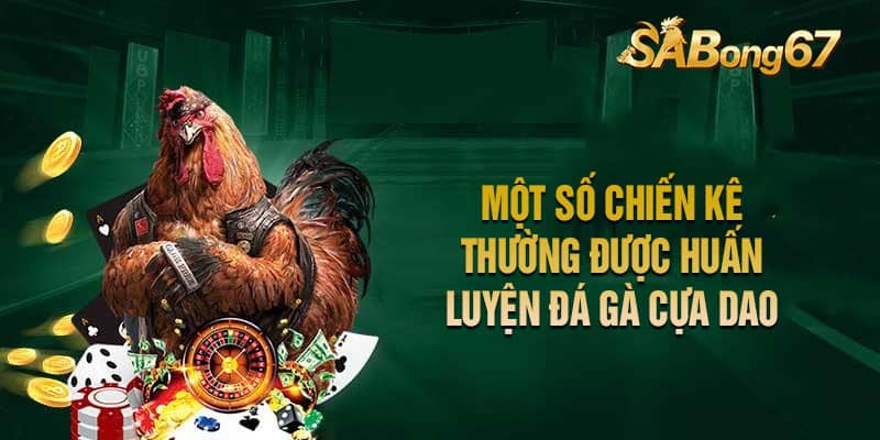 Một số chiến kê thường được huấn luyện đá gà cựa dao