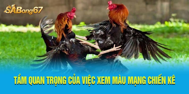 Tầm quan trọng của việc xem màu mạng chiến kê