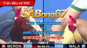 ANH TÍNH GAKING VS ANH TOÀN TRẮNG TV