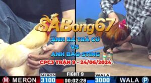 ANH BA TRÀ CÚ VS ANH BẢO STING