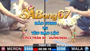 BẢO STING VS TÈO BẢO LỘC