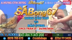 HƯNG CẦN THƠ VS BẢO STING