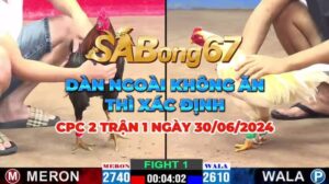 ANH DỰ VS BẢO STING