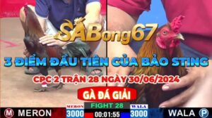 BẢO STING VS KIỀU CT