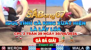 BỒ GÀ C1 A VS HUY SG