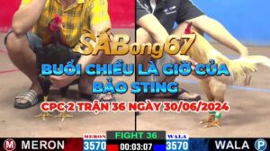 LINH TN VS BẢO STING