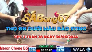 THỌ ĐN VS BẢO STING