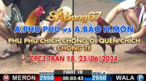 phu phu vs bao hoc mon