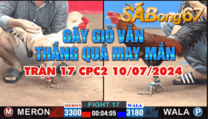 anh dang vs anh lam den do