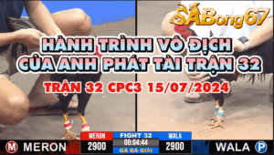 anh az888 vs anh phat tai