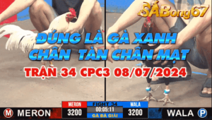 anh bao sting vs anh duyen ti