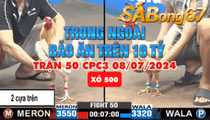 anh bao sting vs anh duyen ti