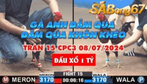 CPC3 TRẬN 15 Ngày 08/07/2024: ANH ĐẢM SÓC TRĂNG VS ANH MẠNH BẾN TRE