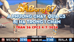 anh quoc vs anh phuong toc dai