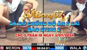 ANH BẢO VS ANH BỬU