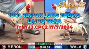 THANH T.ĐỨC VS LONG THOMO