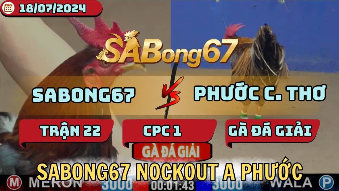 Gà chiến Vĩnh Cửu Chi