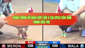 HÀNH TRÌNH VÔ ĐỊCH CÚP LẦN 3 TẠI CPC3 CỦA ANH MINH BẾN TRE