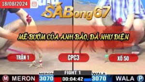 Trận 1 CPC3 18/8/2024 Anh Bảo Sting Đá Xổ Anh Vũ Bến Tre