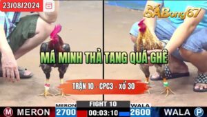 Trận 10 CPC3 23/8/2024 Anh Minh Đá Xổ Anh Tư Cao Lãnh