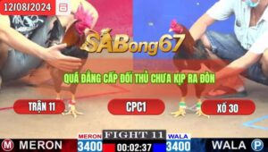 Trận 11 CPC1 12/8/2024 Anh Vinh Củ Chi Đá Xổ Anh Chín Bến Tre