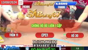 Trận 11 CPC1 13/8/2024 Anh Phúc Đá Xổ Anh Đăng