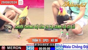 Trận 11 CPC1 29/8/2024 Anh Hòa Đá Xổ Anh Tút