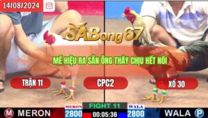 Trận 11 CPC2 14/8/2024 Anh Bảo Sting Đá Xổ Ông Thầy