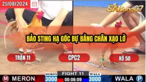 Trận 11 CPC2 21/8/2024 Anh Phú Đá Xổ Anh Bảo Sting